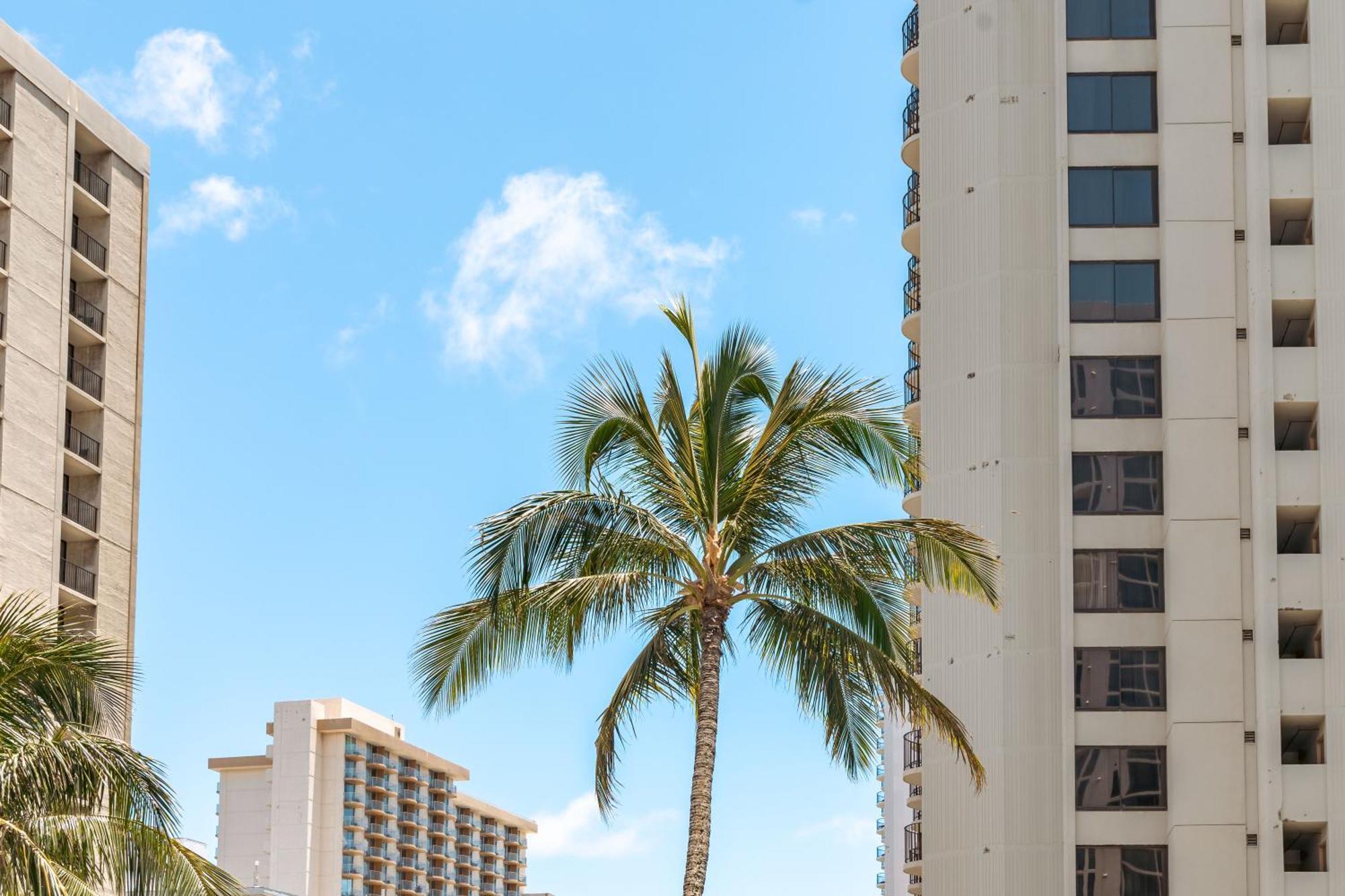 Cozy Waikiki Getaway, Stroll To Beach With Free Parking Honolulu Kültér fotó