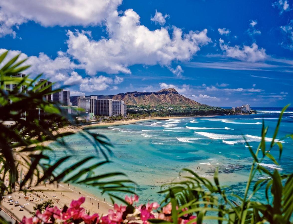 Cozy Waikiki Getaway, Stroll To Beach With Free Parking Honolulu Kültér fotó