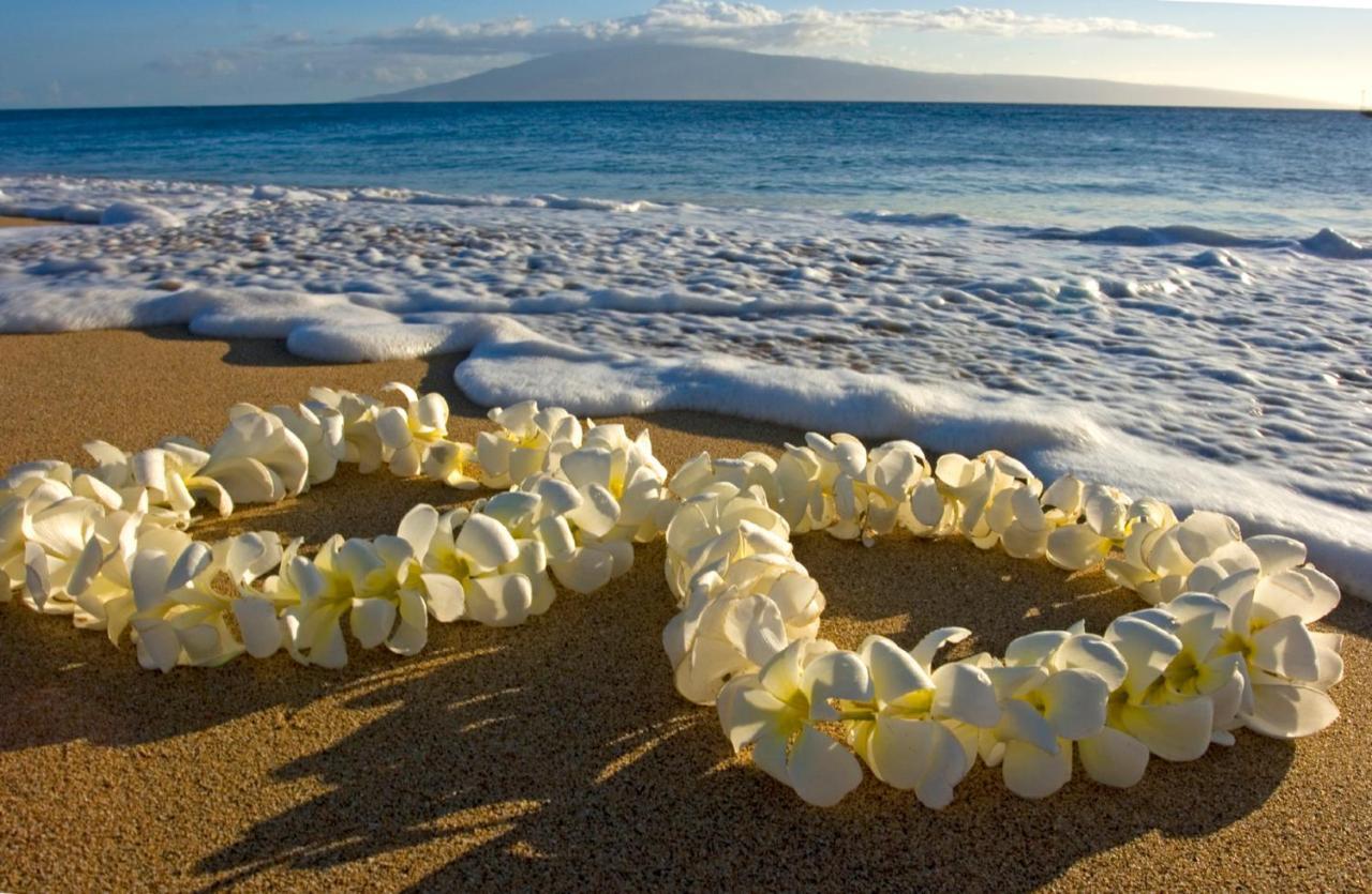 Cozy Waikiki Getaway, Stroll To Beach With Free Parking Honolulu Kültér fotó